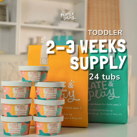 Toddler Explorer Bundle