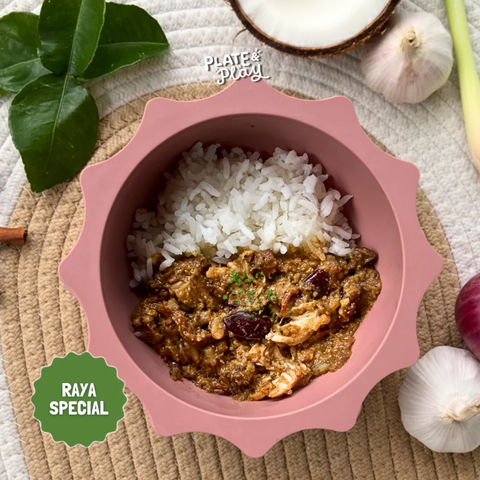 Baby Rendang Ayam Rice Bowl