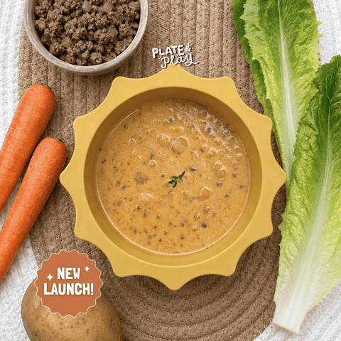 Baby cheeseburger soup with beef potato and vegetables, halal baby food for 6 months onwards
