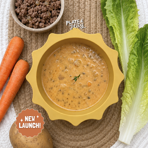 Baby Loaded Cheeseburger Soup with Beef & Veggies